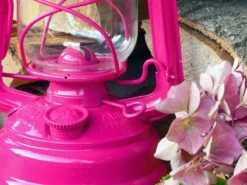 Feuerhand Baby Special 276 Telemagenta Stormlamp -Buiten Kamperen Verkoopwinkel feuerhand stormlamp magenta 4 ecommerce bd07