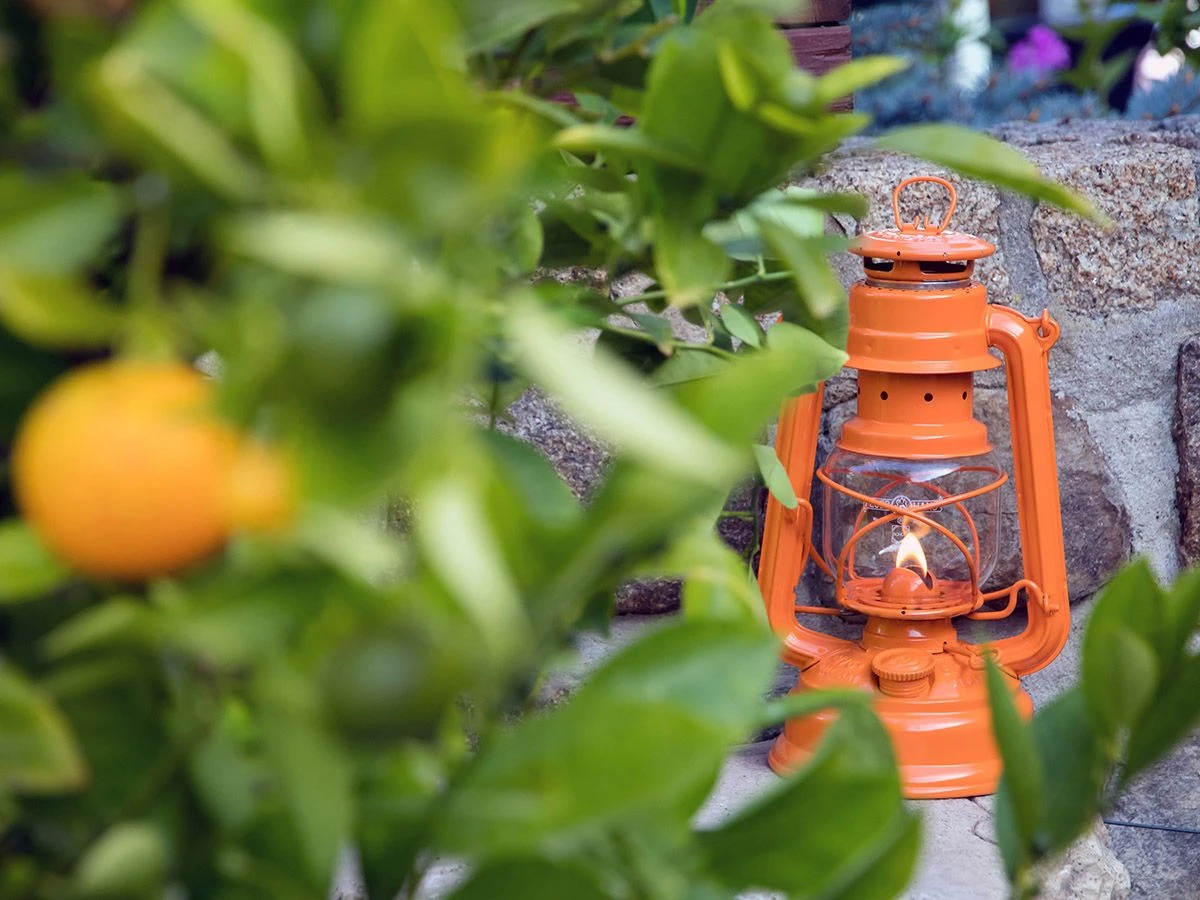 Feuerhand Baby Special 276 Pastel Orange Stormlamp 4 Feuerhand Baby Special 276 Pastel Orange Stormlamp - Afbeelding 2