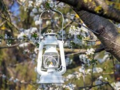 Feuerhand Baby Special 276 Pure White Stormlamp -Buiten Kamperen Verkoopwinkel feuerhand stormlamp wit 3 ecommerce 5631