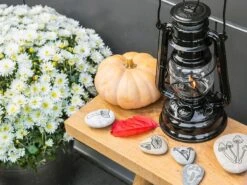 Feuerhand Baby Special 276 Black Stormlamp -Buiten Kamperen Verkoopwinkel feuerhand stormlamp zwart 4 ecommerce 1292