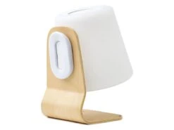 Buiten Kamperen Verkoopwinkel -Buiten Kamperen Verkoopwinkel rebel outdoor speaker lamp 2 ecommerce